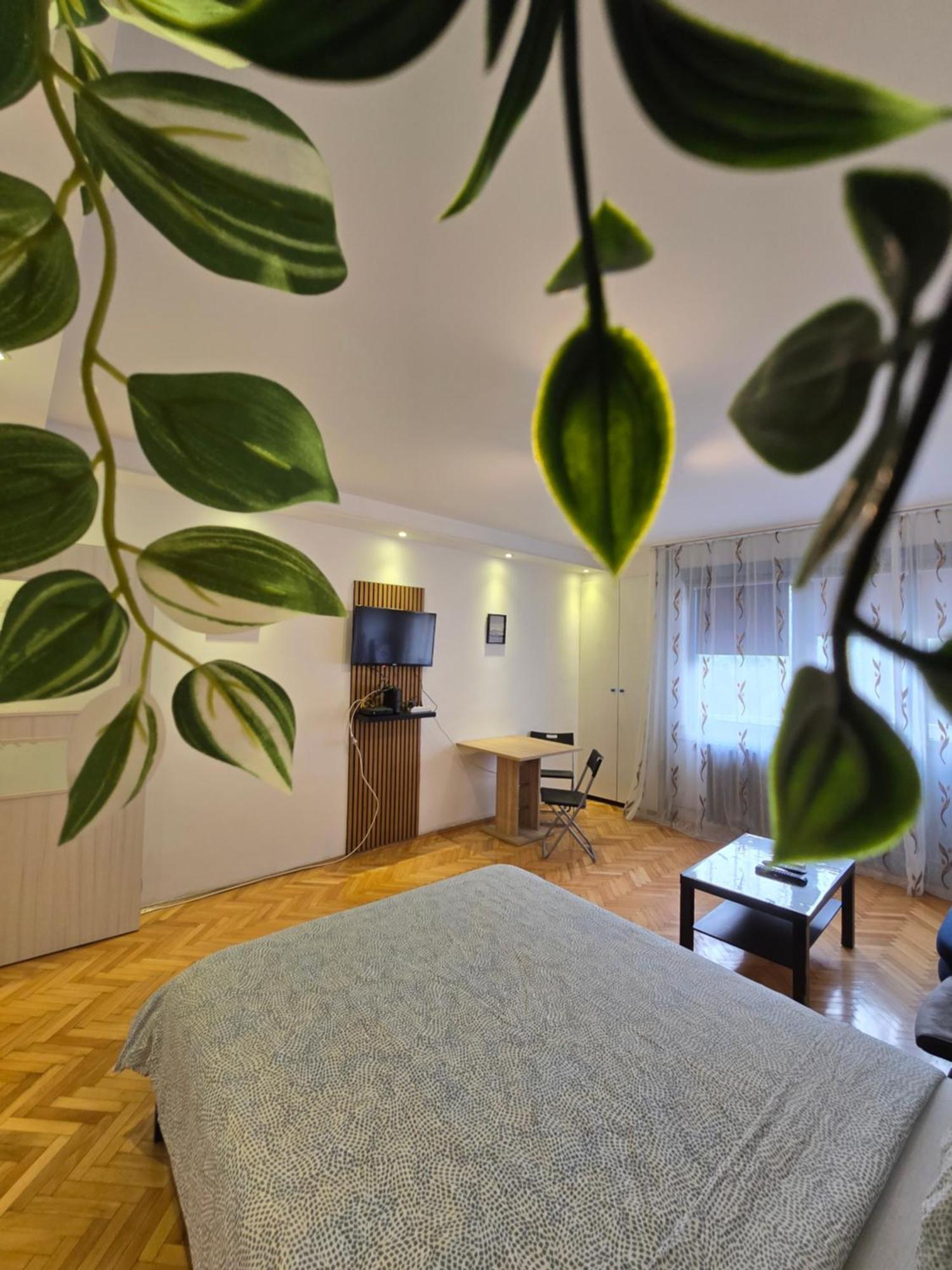 Azzurro Studio Apartment Belgrad Zewnętrze zdjęcie