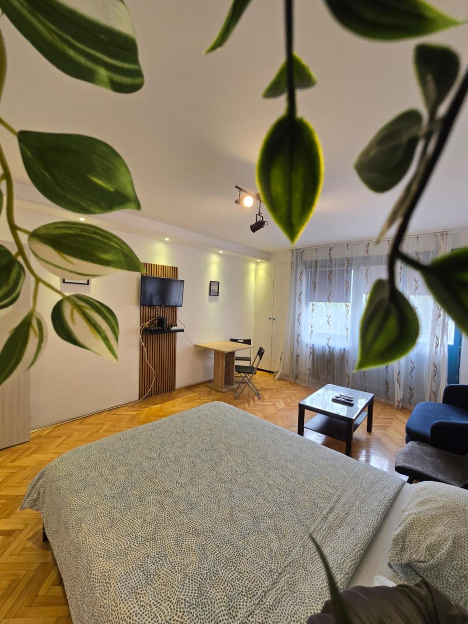 Azzurro Studio Apartment Belgrad Zewnętrze zdjęcie