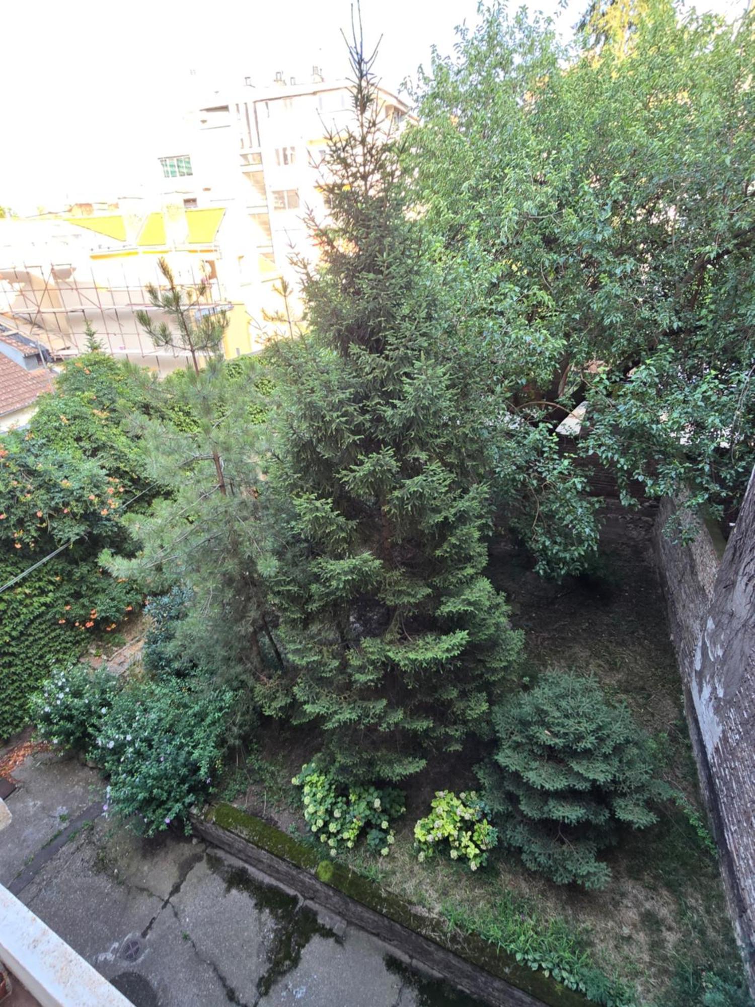 Azzurro Studio Apartment Belgrad Zewnętrze zdjęcie